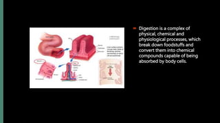 PHYSIOLOGY OF DIGESTION.digistive system | PPTX