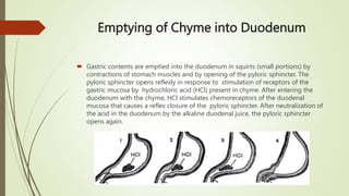 PHYSIOLOGY OF DIGESTION.digistive system | PPTX