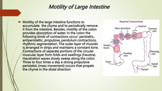 PHYSIOLOGY OF DIGESTION.digistive system | PPTX