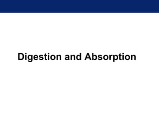 Digestion and Absorption
 