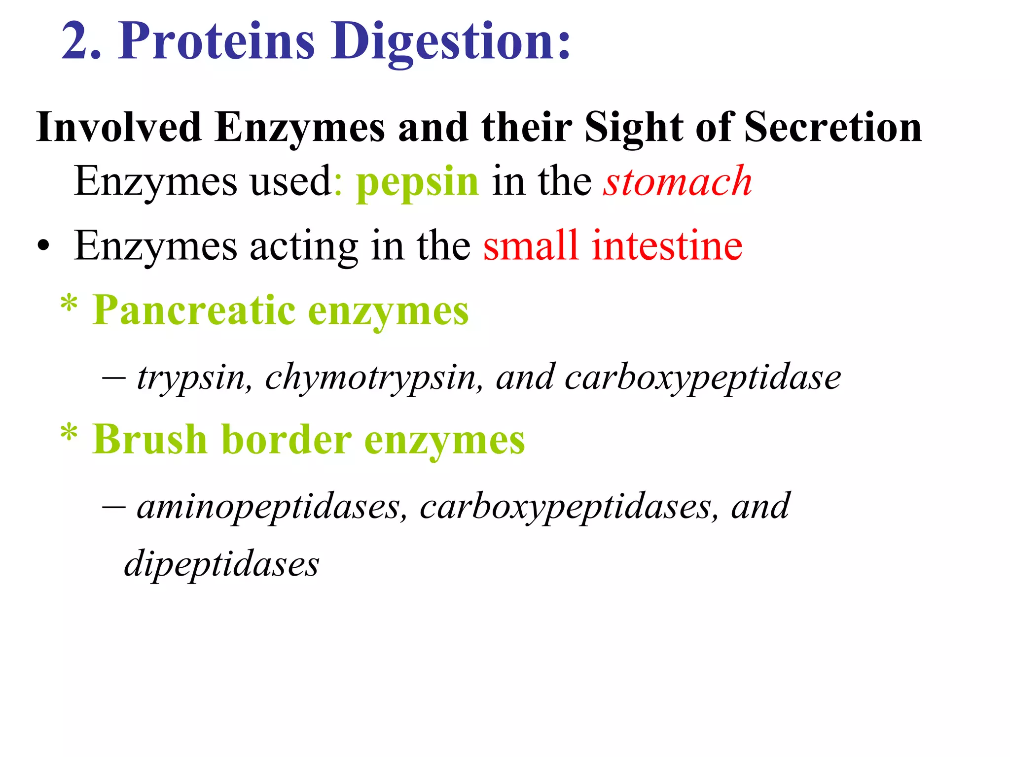 2. Proteins Digestion:
Involved Enzymes and their Sight of Secretion
Enzymes used: pepsin in the stomach
• Enzymes acting in the small intestine
* Pancreatic enzymes
– trypsin, chymotrypsin, and carboxypeptidase
* Brush border enzymes
– aminopeptidases, carboxypeptidases, and
dipeptidases
 