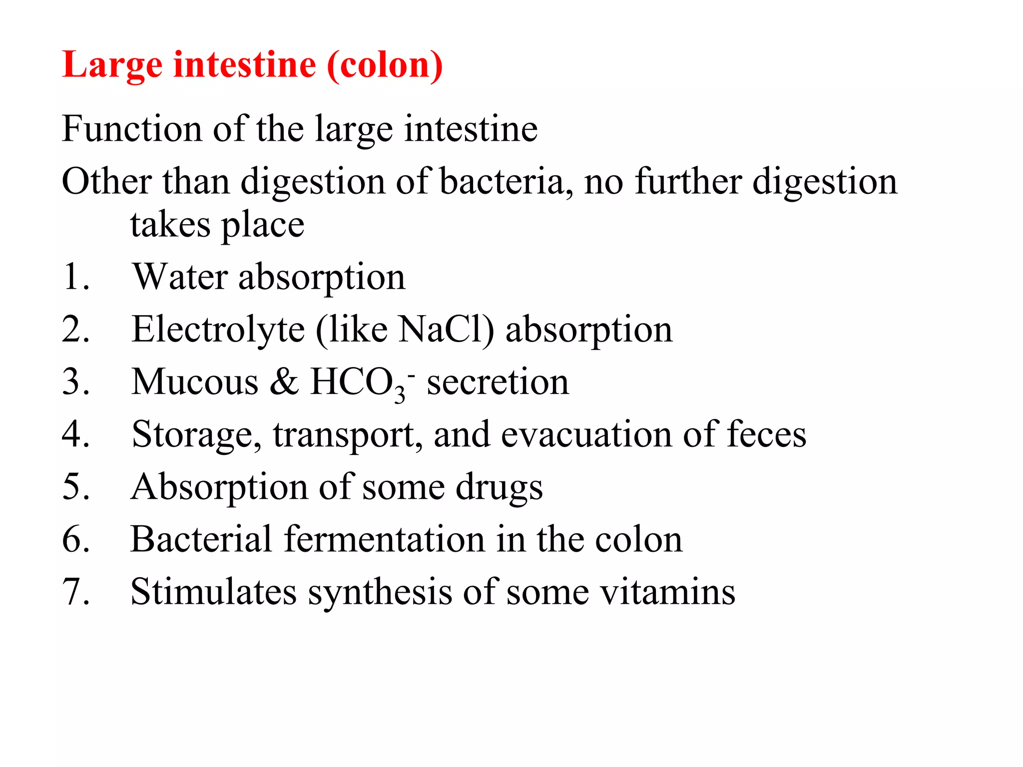 Large intestine (colon)
Function of the large intestine
Other than digestion of bacteria, no further digestion
takes place
1. Water absorption
2. Electrolyte (like NaCl) absorption
3. Mucous & HCO3
- secretion
4. Storage, transport, and evacuation of feces
5. Absorption of some drugs
6. Bacterial fermentation in the colon
7. Stimulates synthesis of some vitamins
 