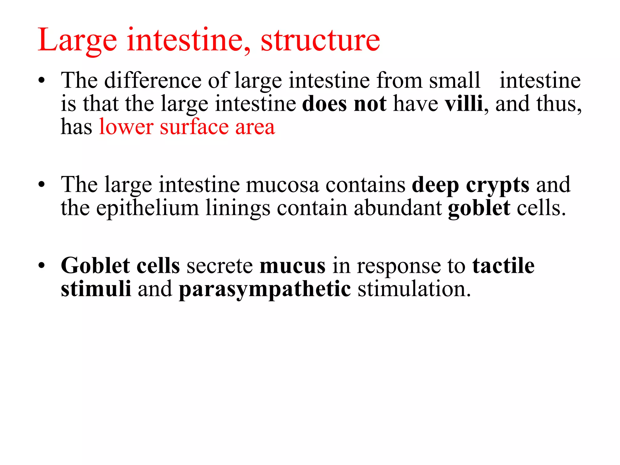 Large intestine, structure
• The difference of large intestine from small intestine
is that the large intestine does not have villi, and thus,
has lower surface area
• The large intestine mucosa contains deep crypts and
the epithelium linings contain abundant goblet cells.
• Goblet cells secrete mucus in response to tactile
stimuli and parasympathetic stimulation.
 