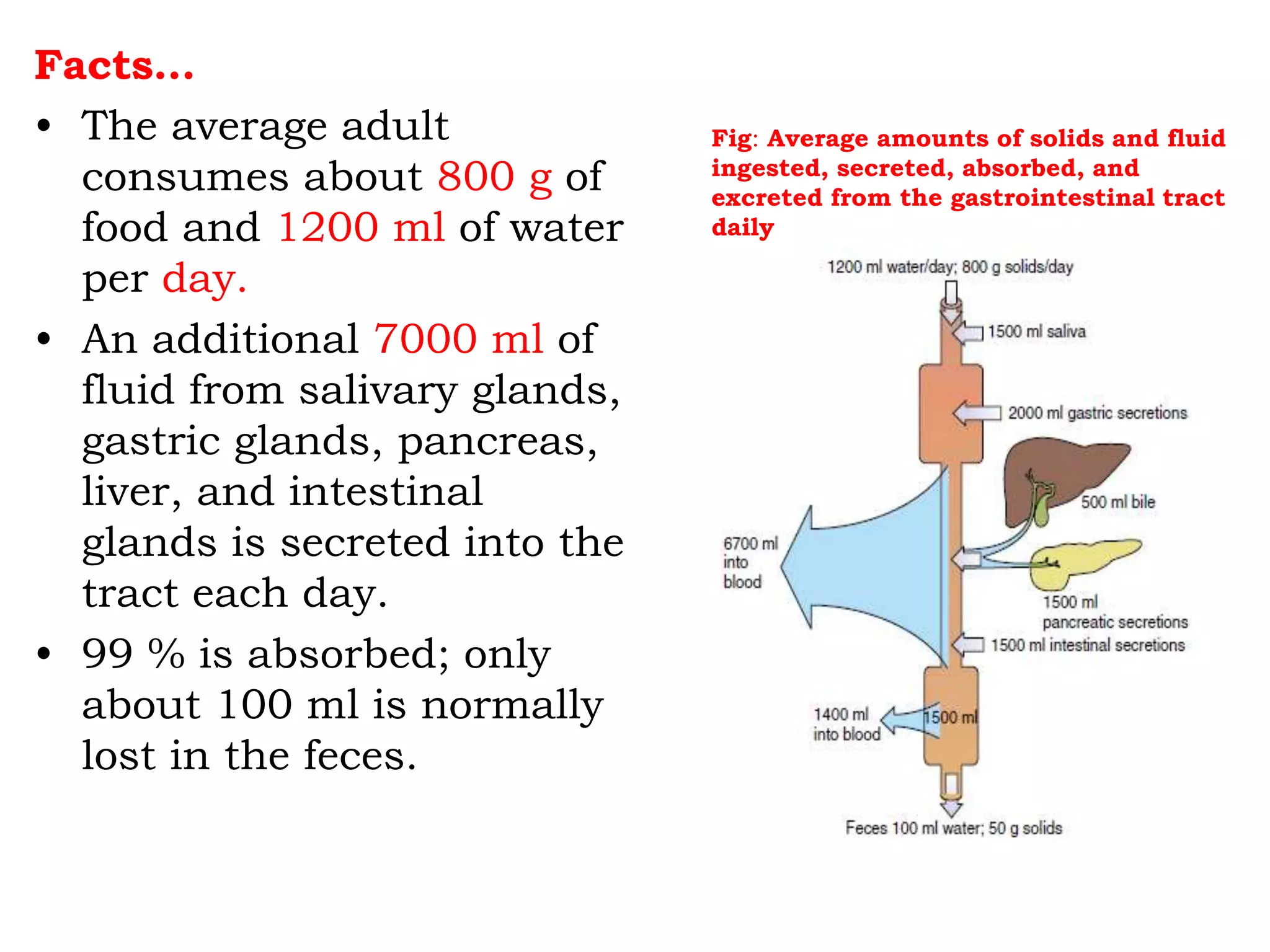 Facts…
• The average adult
consumes about 800 g of
food and 1200 ml of water
per day.
• An additional 7000 ml of
fluid from salivary glands,
gastric glands, pancreas,
liver, and intestinal
glands is secreted into the
tract each day.
• 99 % is absorbed; only
about 100 ml is normally
lost in the feces.
Fig: Average amounts of solids and fluid
ingested, secreted, absorbed, and
excreted from the gastrointestinal tract
daily
 