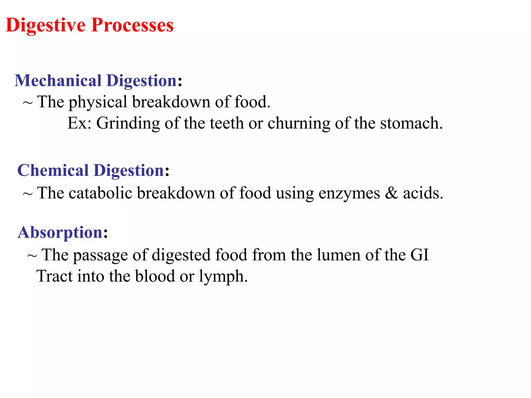 Digestive Processes
Mechanical Digestion:
~ The physical breakdown of food.
Ex: Grinding of the teeth or churning of the stomach.
Chemical Digestion:
~ The catabolic breakdown of food using enzymes & acids.
Absorption:
~ The passage of digested food from the lumen of the GI
Tract into the blood or lymph.
 