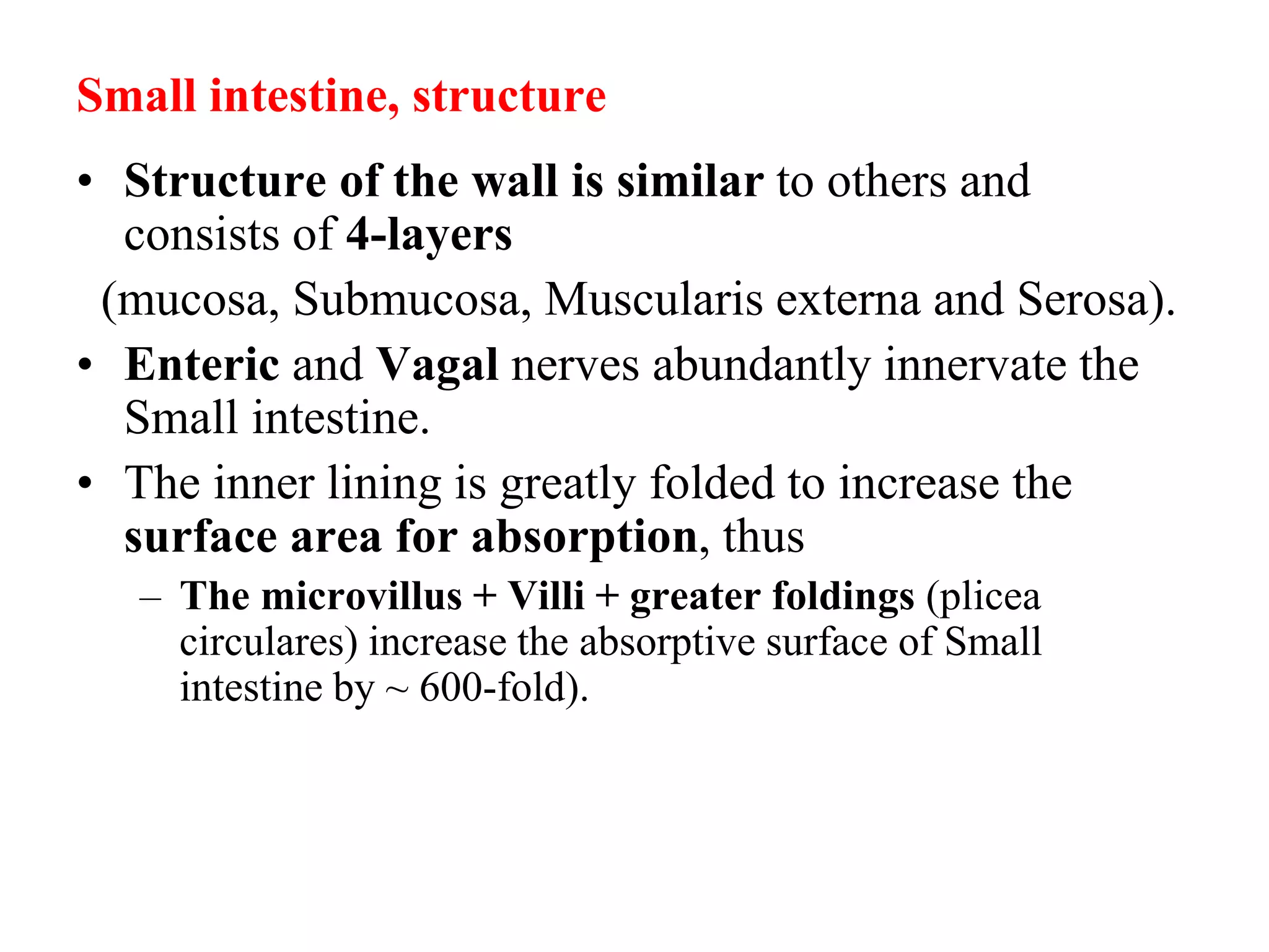 Small intestine, structure
• Structure of the wall is similar to others and
consists of 4-layers
(mucosa, Submucosa, Muscularis externa and Serosa).
• Enteric and Vagal nerves abundantly innervate the
Small intestine.
• The inner lining is greatly folded to increase the
surface area for absorption, thus
– The microvillus + Villi + greater foldings (plicea
circulares) increase the absorptive surface of Small
intestine by ~ 600-fold).
 