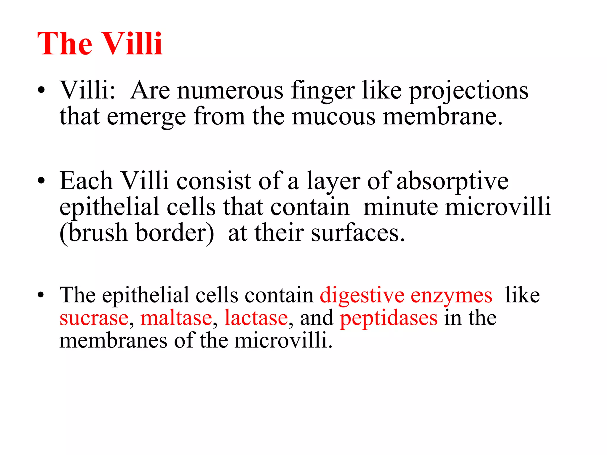 The Villi
• Villi: Are numerous finger like projections
that emerge from the mucous membrane.
• Each Villi consist of a layer of absorptive
epithelial cells that contain minute microvilli
(brush border) at their surfaces.
• The epithelial cells contain digestive enzymes like
sucrase, maltase, lactase, and peptidases in the
membranes of the microvilli.
 