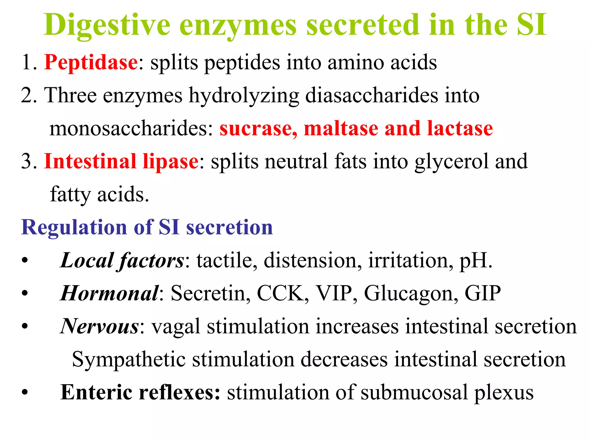 Digestive enzymes secreted in the SI
1. Peptidase: splits peptides into amino acids
2. Three enzymes hydrolyzing diasaccharides into
monosaccharides: sucrase, maltase and lactase
3. Intestinal lipase: splits neutral fats into glycerol and
fatty acids.
Regulation of SI secretion
• Local factors: tactile, distension, irritation, pH.
• Hormonal: Secretin, CCK, VIP, Glucagon, GIP
• Nervous: vagal stimulation increases intestinal secretion
Sympathetic stimulation decreases intestinal secretion
• Enteric reflexes: stimulation of submucosal plexus
 
