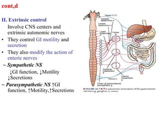 Extrinsic Innervation physiology of digestive system.ppt