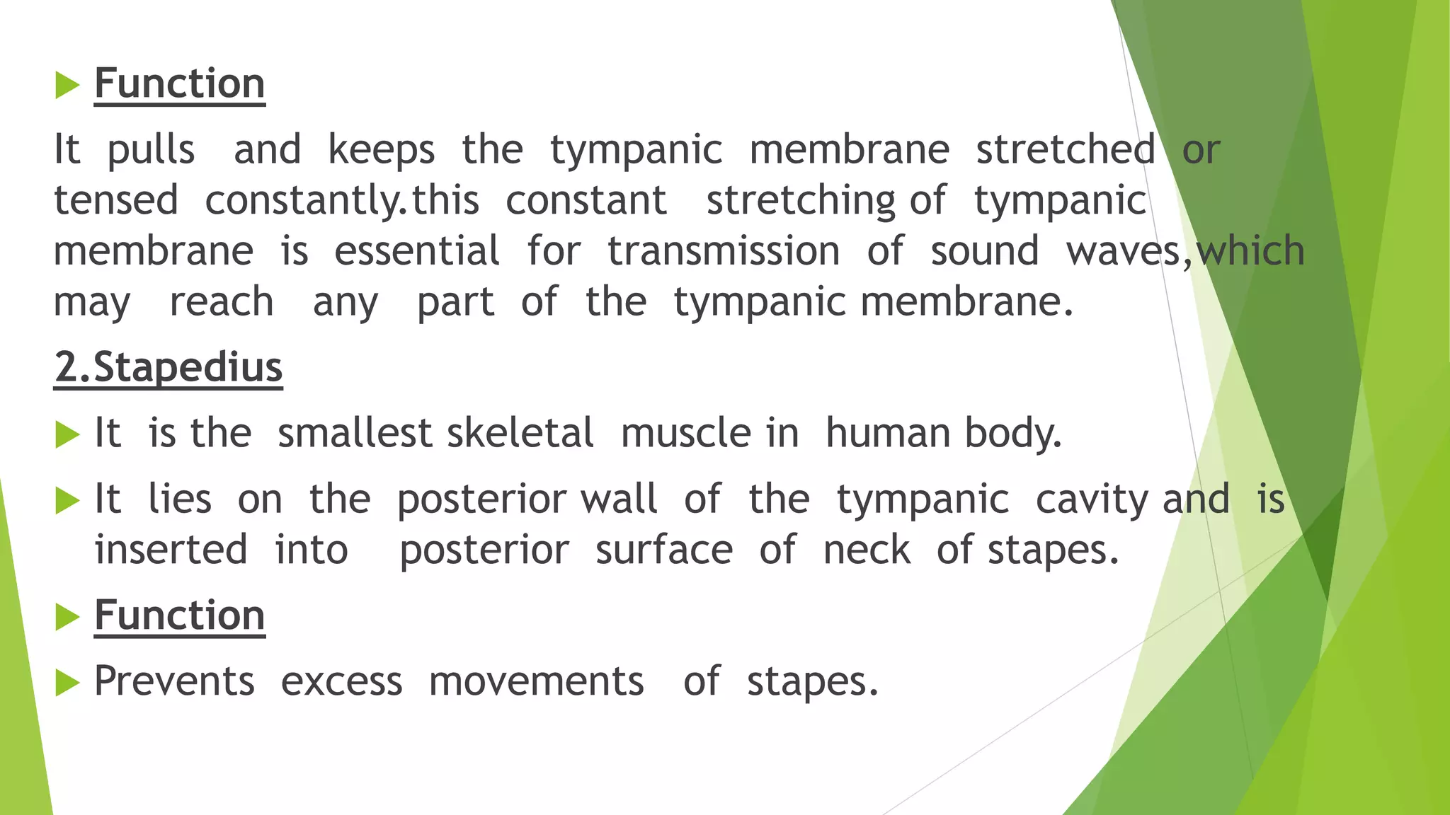 Physiology of ear | PPTX
