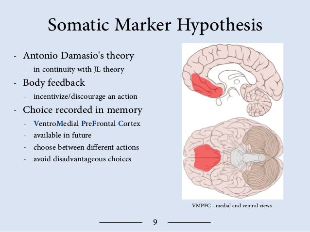 Somatic marker meaning image