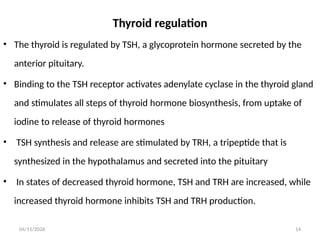 Comprehensive Overview of Thyroid Gland Physiology and Regulation | PPTX