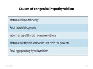 Comprehensive Overview of Thyroid Gland Physiology and Regulation | PPTX