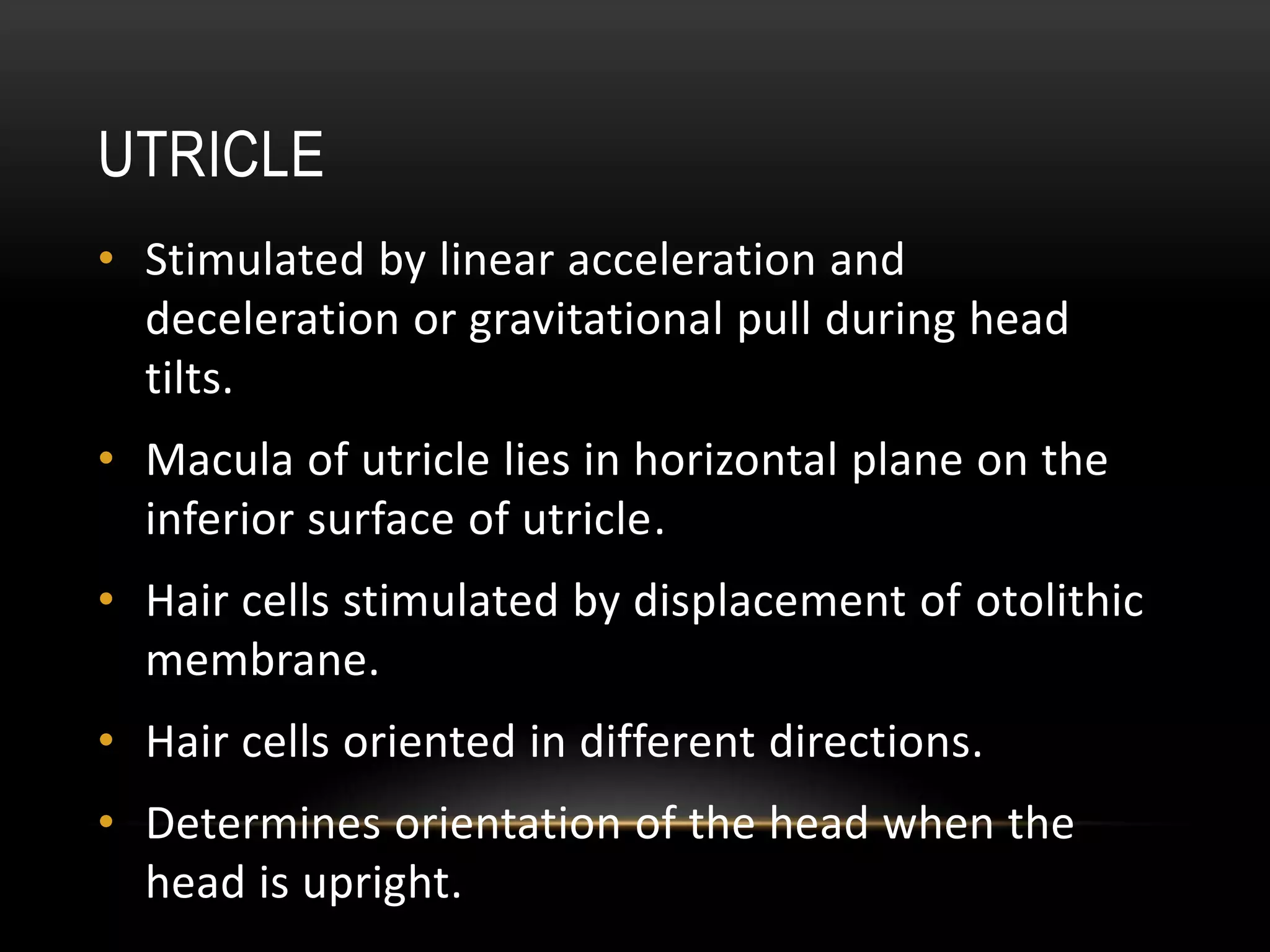 Physiology of equilibrium - Vestibular System | PPTX
