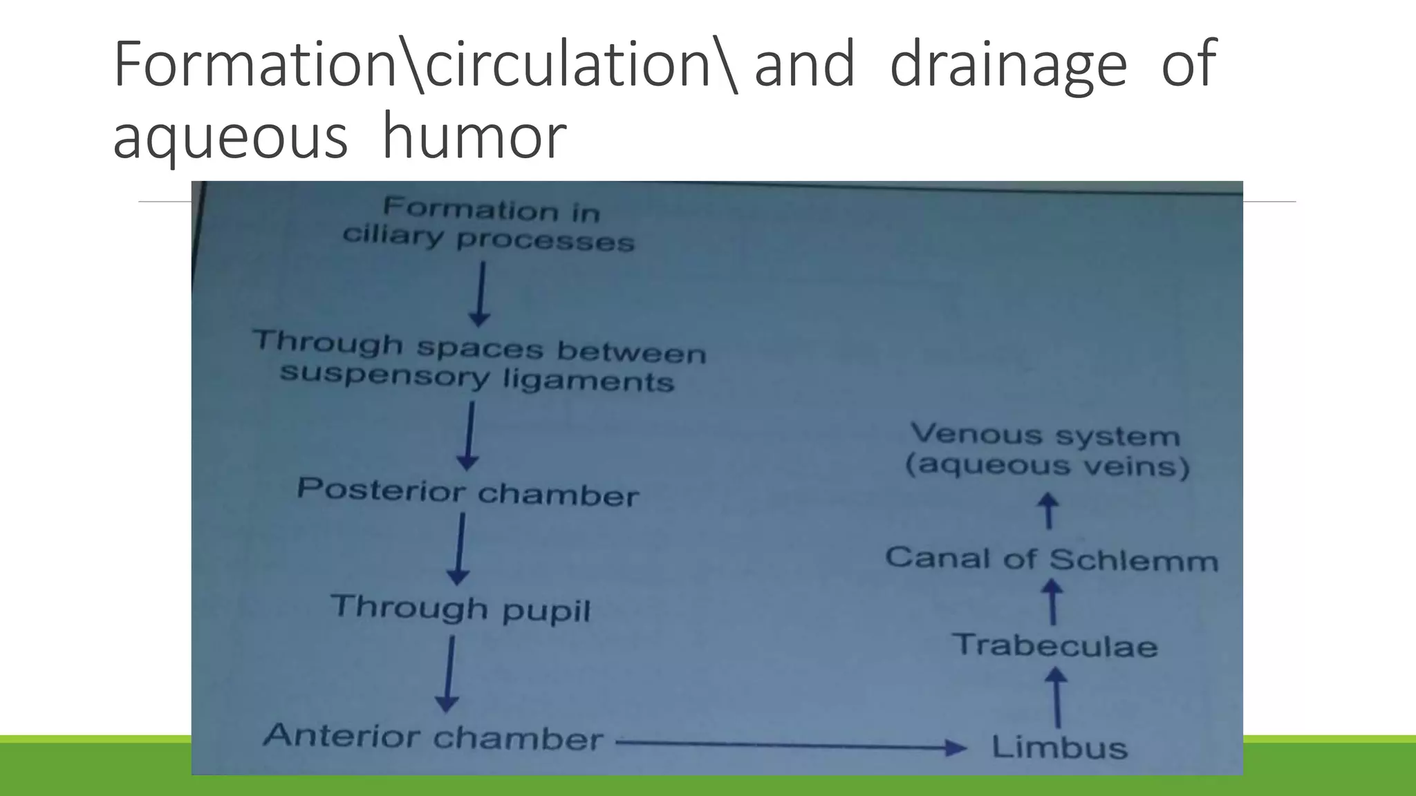Physiology of eye | PPTX