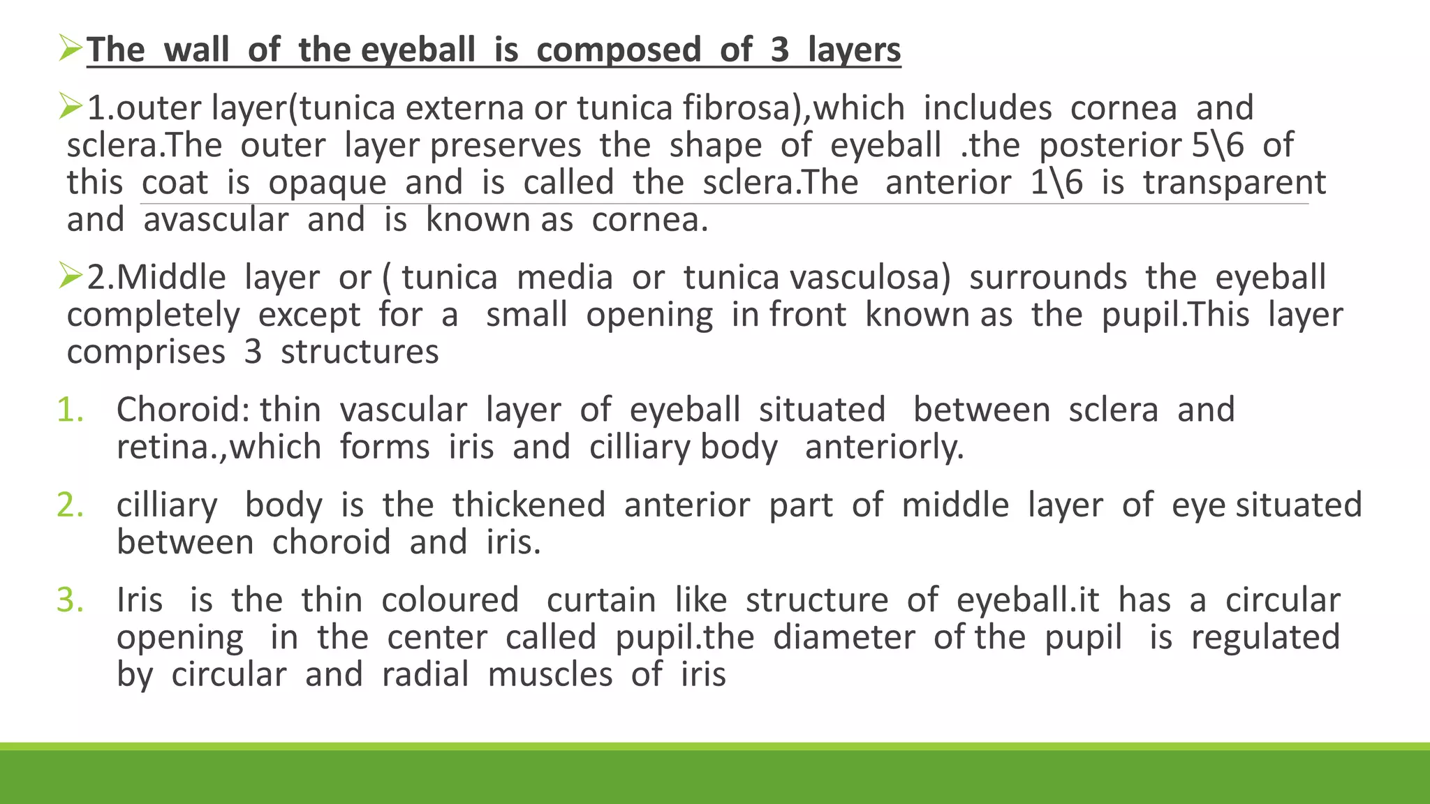 Physiology of eye | PPTX