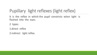 Light Reflex Example Physiology of eye | PPTX