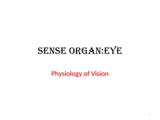 physiology of eye.ppt visual processsing | PPT