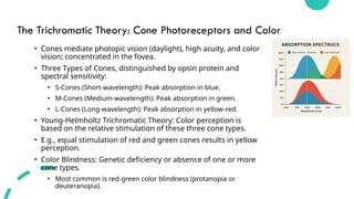Trichromate Physiology of Eye and Vision.pptx pressure | PPTX