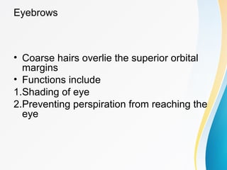 Physiology of eyelids and eyebrows | PPT