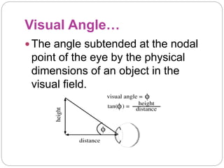 Physiology of eye, ppt.pptx