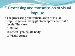 Comprehensive Physiology of the Human Eye: Vision Mechanisms and Visual ...