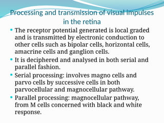 Comprehensive Physiology of the Human Eye: Vision Mechanisms and Visual ...