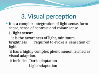 Comprehensive Physiology of the Human Eye: Vision Mechanisms and Visual ...