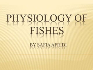 PHYSIOLOGY OF
FISHES
BY SAFIAAFRIDI
 