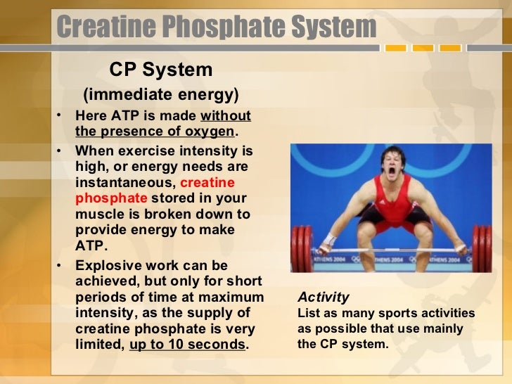 Physiology of fitness_nrg_systems__lesson_4