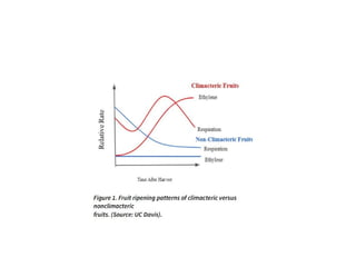 physiology of fruit ripening changes during ripening | PPT