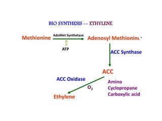 physiology of fruit ripening changes during ripening | PPT