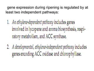 physiology of fruit ripening changes during ripening | PPT
