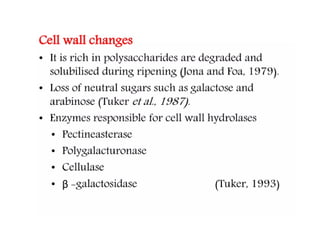 physiology of fruit ripening changes during ripening | PPT