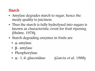 physiology of fruit ripening changes during ripening | PPT