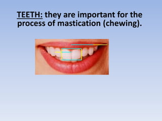 Mastication Process physiology of gastrointestinal tract (git) ( PDFDrive ).pdf