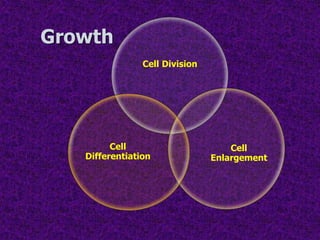 Physiology of growth and development of pome and stone fruits | PDF