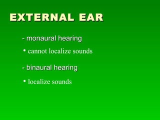 Physiology Of Hearing Slide 13