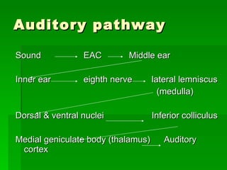Physiology Of Hearing Slide 34
