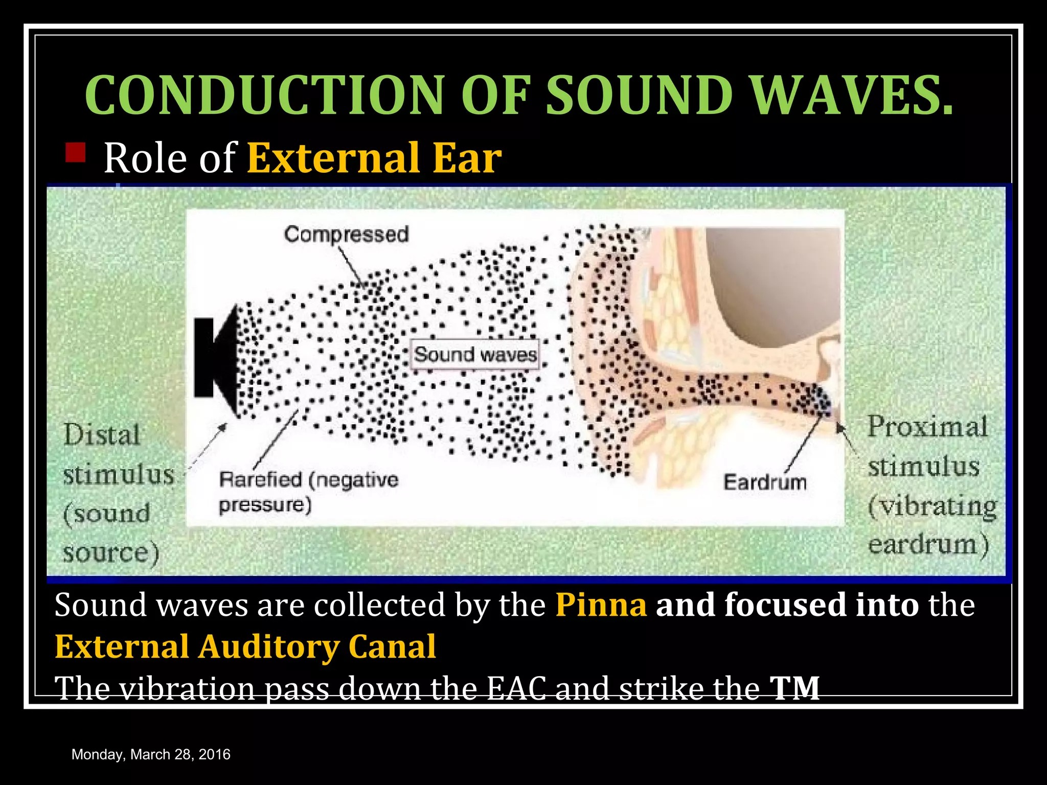 Ear Vertical Conduction physiologyofhearing-160328171804.pdf