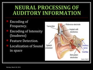 Physiology of hearing | PPT