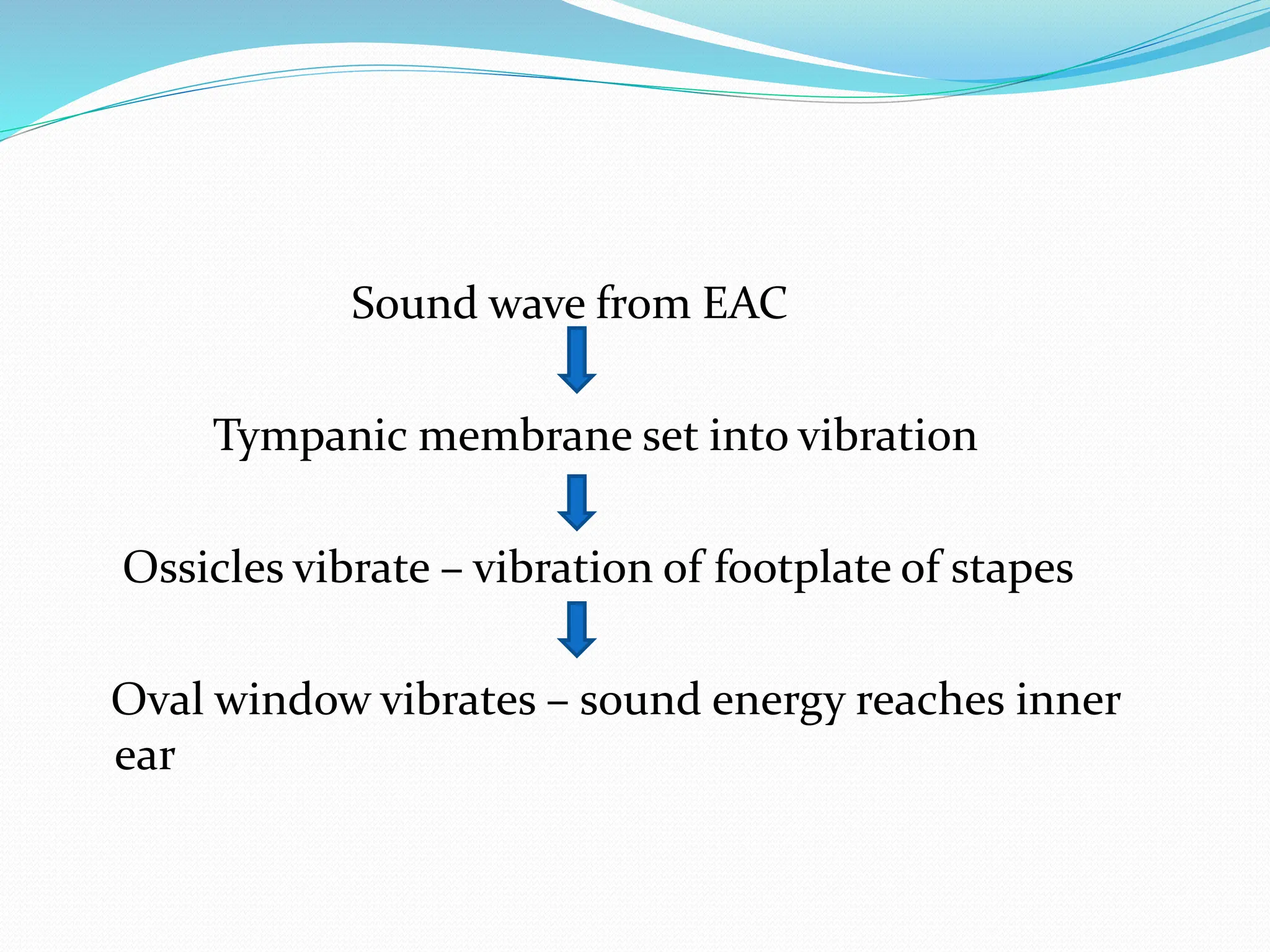 PHYSIOLOGY OF HEARING and its investigation and treatment and hearing ...