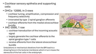 Signa Choclear PHYSIOLOGY OF HEARING BY DR. SHRISHTI JAIN | PDF