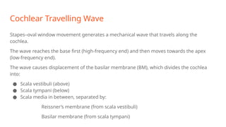Movement Cochlear physiology of hearing.ppts presentation. | PPTX