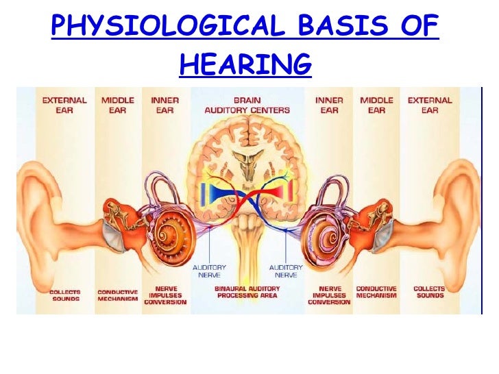 Physiology of hearing 21st july 11