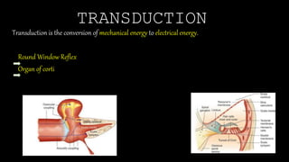 PHYSIOLOGY OF HEARING AND RELEVANT TESTS [Autosaved].pptx