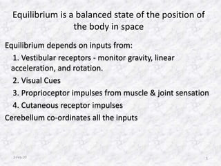 Physiology of Equilibrium | PPTX