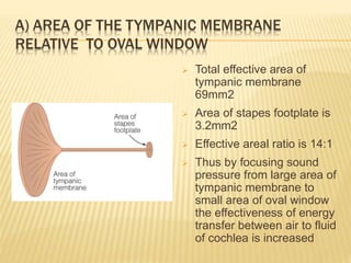 A) AREA OF THE TYMPANIC MEMBRANE
RELATIVE TO OVAL WINDOW
 Total effective area of
tympanic membrane
69mm2
 Area of stapes footplate is
3.2mm2
 Effective areal ratio is 14:1
 Thus by focusing sound
pressure from large area of
tympanic membrane to
small area of oval window
the effectiveness of energy
transfer between air to fluid
of cochlea is increased
 