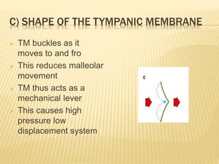 C) SHAPE OF THE TYMPANIC MEMBRANE
 TM buckles as it
moves to and fro
 This reduces malleolar
movement
 TM thus acts as a
mechanical lever
 This causes high
pressure low
displacement system
 