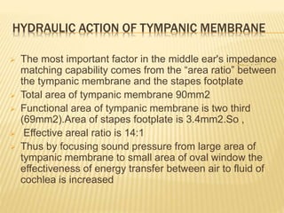 HYDRAULIC ACTION OF TYMPANIC MEMBRANE
 The most important factor in the middle ear's impedance
matching capability comes from the “area ratio” between
the tympanic membrane and the stapes footplate
 Total area of tympanic membrane 90mm2
 Functional area of tympanic membrane is two third
(69mm2).Area of stapes footplate is 3.4mm2.So ,
 Effective areal ratio is 14:1
 Thus by focusing sound pressure from large area of
tympanic membrane to small area of oval window the
effectiveness of energy transfer between air to fluid of
cochlea is increased
 